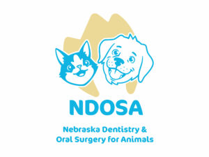 Nebraska Dentistry and Oral Surgery for Animals
